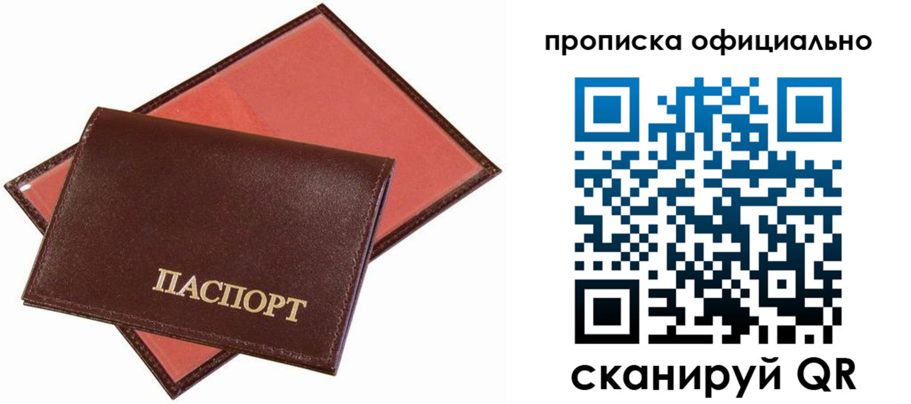 временная регистрация гарантия в Сельцо